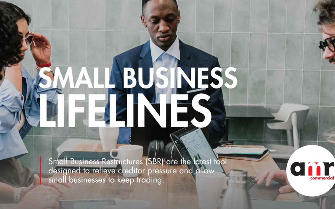 Small Business Lifelines